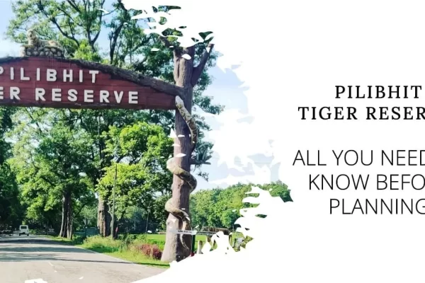 Pilibhit Tiger Reserve: All you need to know before planning