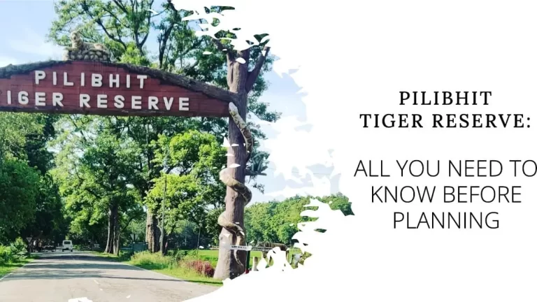 pilibhit tiger reserve entry gate