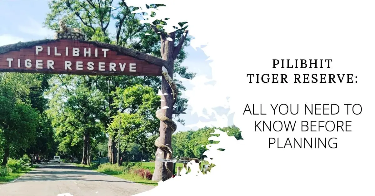 pilibhit tiger reserve entry gate